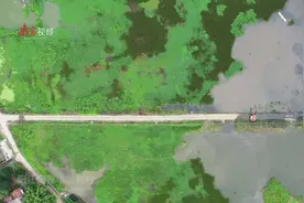 南方曝光台｜阳春数十亩农田遭污水淹没，造价几百万元的污水站成摆设？图片