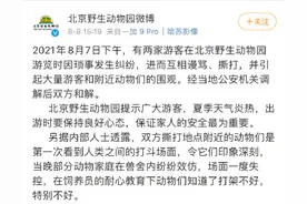 动物真的会模仿人类打架？管理员如何进行“说服教育”？图片