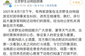 动物真的会模仿人类打架？管理员如何进行“说服教育”？图片