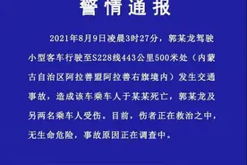 演员于月仙凌晨遇车祸，目击者发声：事故现场骆驼内脏遍地，司机疑车速过快图片