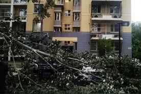 北京多地降大雨，昌平落下冰雹，大树被吹倒砸中两辆奔驰图片