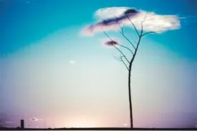 等待是一种美丽图片