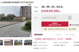 司法拍卖四川标王来了，23万平方米商业地产20亿元起拍图片