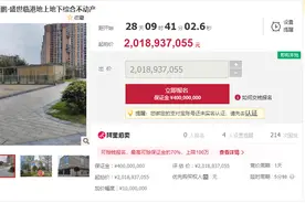 司法拍卖四川标王来了，23万平方米商业地产20亿元起拍图片