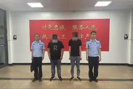 小舅子邀俩姐夫盗窃，一家人后悔莫及图片
