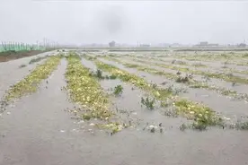 连日暴雨致台湾中南部发生洪涝灾害图片