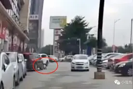 警惕！佛山一男童因绑鞋带酿成意外！盲区不止大货车有图片