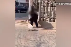 76岁大爷散步被两只大鹅攻击致残，入住的酒店赔偿59万视频封面