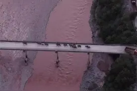 云南“野象天团”要回家了，未来还会出走吗？图片