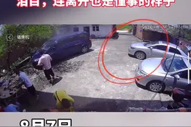 泪目！年近20岁的狗狗自知要离世，悄悄离家，体力不支倒在门口图片