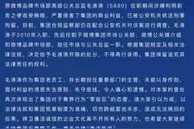 互联网反贪腐再落锤，原微博高级公关总监被刑事拘留图片