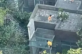 惊险！小“皮猴”上房顶翻墙头，看得人腿发软图片