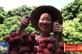 牢记初心使命 争取更大光荣 | 宁德蕉城：实干笃行 创造跨越发展的黄金五年图片