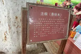 台柱子说事儿｜泉城路上，随便说个故事就是二十年前图片