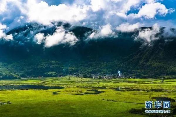 多样云南｜蜂猴、棉凫、麂子……多个濒危物种现身，你不来看看吗？