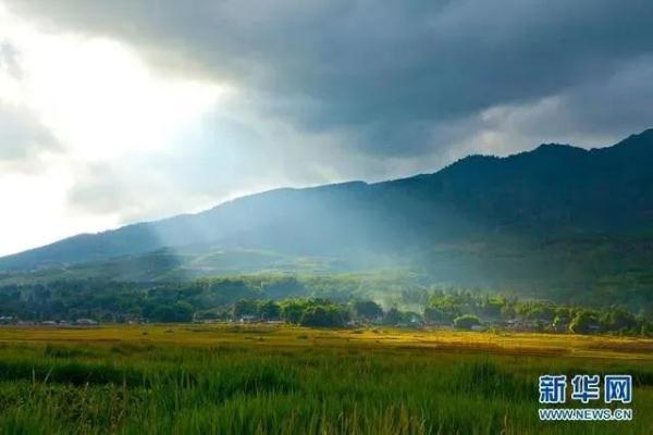 多样云南｜蜂猴、棉凫、麂子……多个濒危物种现身，你不来看看吗？