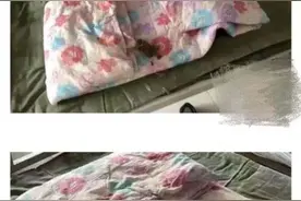 北京一军训基地枕头现蛆、饭菜有虫？涉事基地回应：部分属实图片