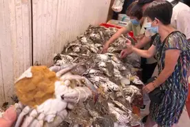 啊这也太那个了吧……杭州人爱吃的它们，价格“腰斩”图片