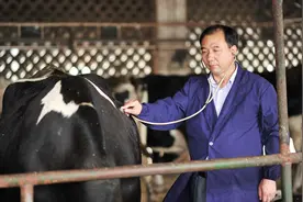 奔跑在乡村振兴路上——记江苏“最美基层共产党员”张竹山图片