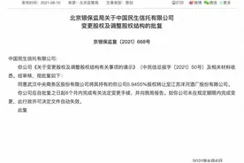 泛海系转让民生信托5.9%股权 洋河股份接盘图片