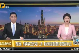市委批准：市委常委朱芝松任中国（上海）自由贸易试验区临港新片区管理委员会主任视频封面