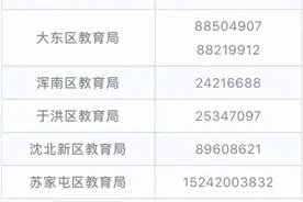 沈阳严查！这个区已关停7家图片