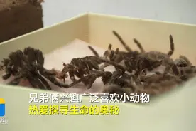 山东双胞胎“言行”兄弟齐上北大：没上过辅导班，喜欢制定计划图片