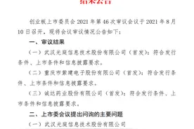 11年上市坎坷路！诚达药业三度IPO终过会 这些问题被关注图片
