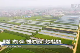 国网营口供电公司：快捷电力服务 点亮乡村幸福路视频封面