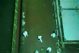 连线“弘进”轮留守船员：唯一打过疫苗的人最先康复，船员们上岸后最想打疫苗图片