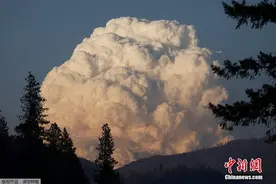 美国加州山火持续 山谷中升起巨大烟团图片