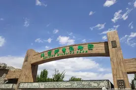 游客打架引发动物模仿？专家这么说图片