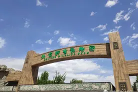 游客打架引发动物模仿？专家这么说图片
