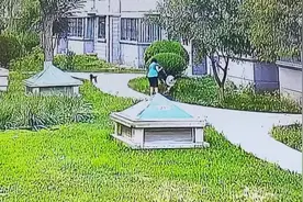 银川一老人在小区被泰迪两次扑咬，胳膊、手背受伤图片