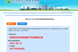 东莞总价第三！碧桂园46.17亿元拿下茶山“巨无霸”地块图片