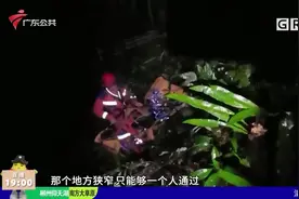 韶关：驴友野外徒步 意外滑落山坡视频封面