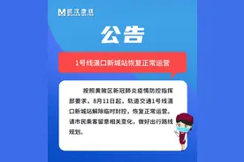 武汉这三条地铁将开通，站名定了图片
