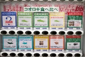 日本一家店推出“昆虫食品”自动贩卖机图片