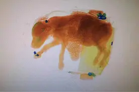 考上大学亲戚奖励一只狗，女孩将狗藏包内欲带上高铁被查图片