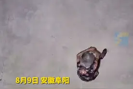 84岁独居老人在院子里从凌晨坐到天明 看到监控的孙子心疼不已图片