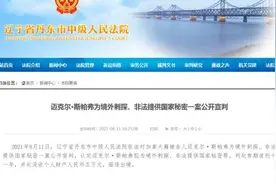 加拿大籍迈克尔，判刑11年、驱逐出境图片