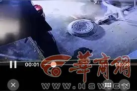 西安一小区闯入7只流浪狗咬死9只流浪猫 物业：已处理尸体并消杀图片