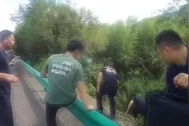 高速涵洞内聚众赌博，警方抓获30余人视频封面