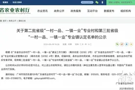 喜讯！清远5镇74村上榜省级名单图片