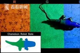 韩国研发“变色龙”软体机器人 穿戴伪装技术实现巨大飞跃图片