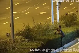 4女子深夜组团剪绿化带月季欲售卖，涉盗窃被刑拘视频封面