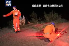 卷起尘土“沐浴”、顺走汽车后视镜……快到家的象群又发生了哪些趣味瞬间图片