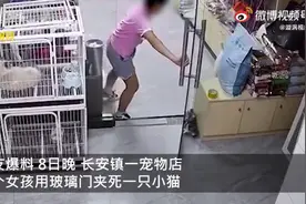 女孩在宠物店用玻璃门夹死猫咪，事后曾说“对不起”，店主：要看家长态度图片