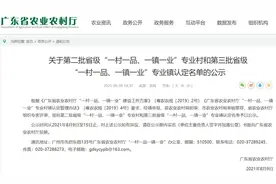牛！揭阳43村2镇上榜省级“一村一品、一镇一业”专业村和专业镇名单图片