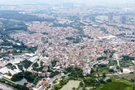 “有女不嫁”穷村的逆袭之路图片